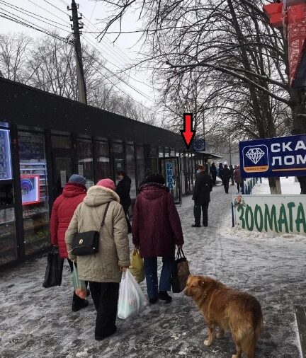 Киоск, Velmart, 14, Kompozytora Liatoshynskoho Street, Теремки 2, Теремки, Голосеевский район, Киев, 03191, Украина, Фото №2